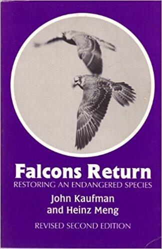 Falcons Return