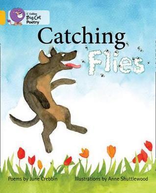 Catching Flies: Band 09/Gold