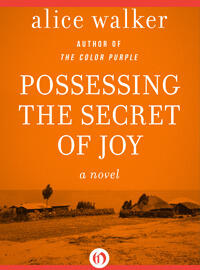 Possessing the Secret of Joy