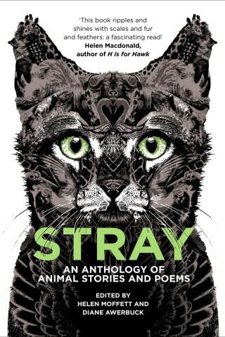 Stray