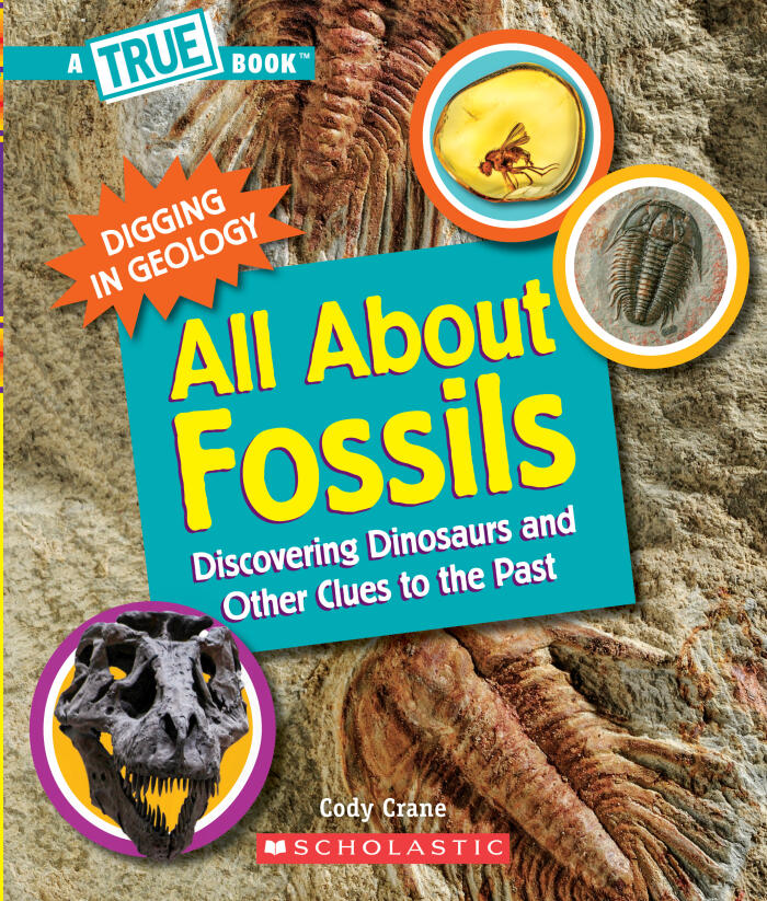 All About Fossils: Discovering Dinosaurs and Other Clues to the Past (A True Book: Digging in Geology) (A True Book