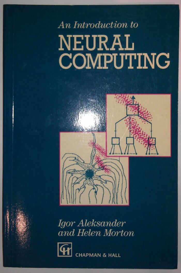 Introduction to Neural Computing