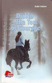 Diablo: The Test of Courage