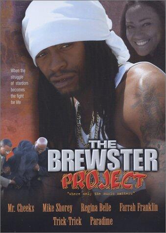 Brewster Project