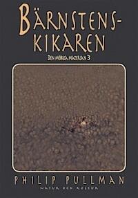 Bärnstenskikaren