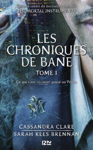 Ce qui s'est VRAIMENT passé au Pérou