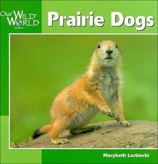 Prairie Dogs