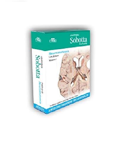 Anatomia Sobotta Flashcards Neuroanatomia