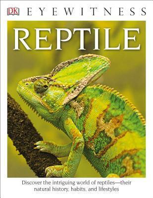 Reptile