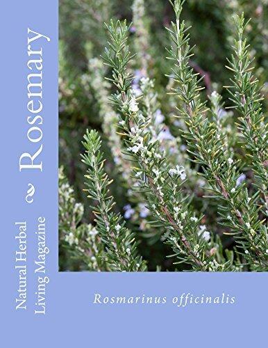 Rosemary - Rosmarinus officinalis: Rosmarinus officinalis