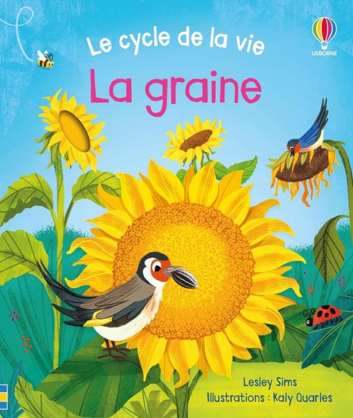 La graine - Le cycle de la vie