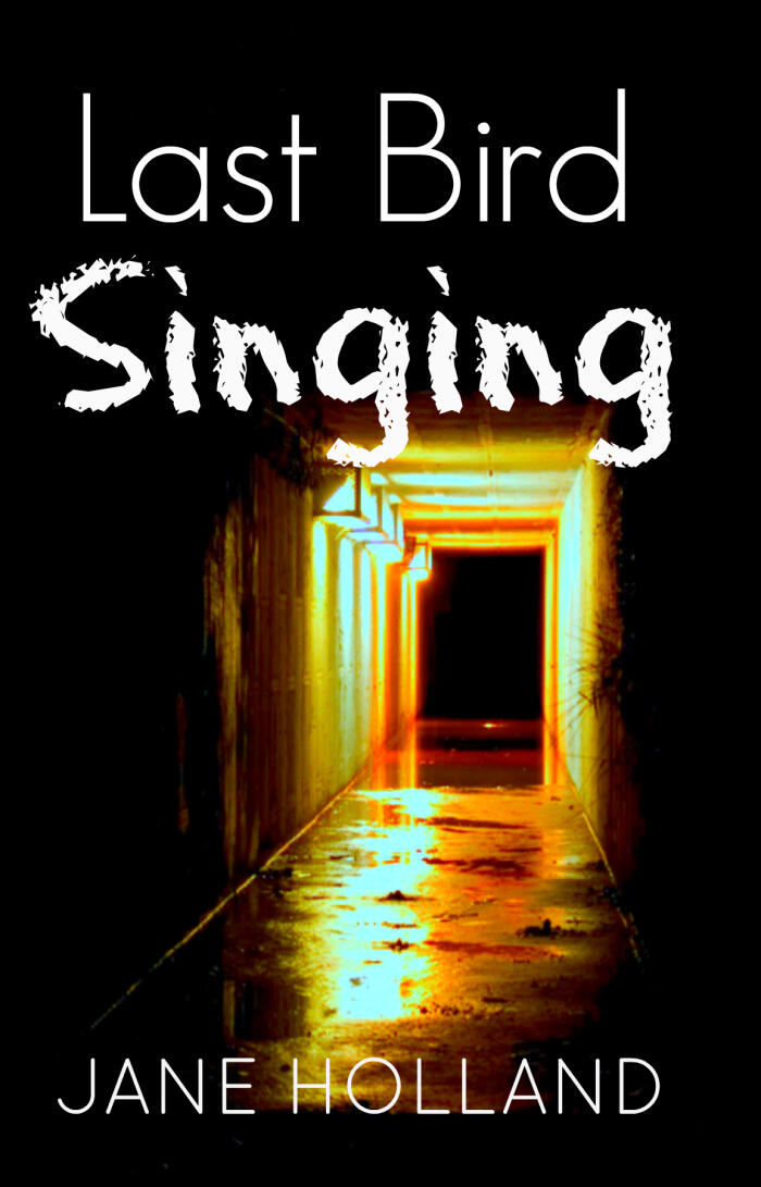 Last Bird Singing