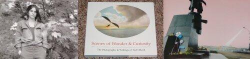 Scenes of Wonder & Curiosity: The Photographs & Writings of Ted Orland by Ted Orland, Sally Mann (1988) Hardcover