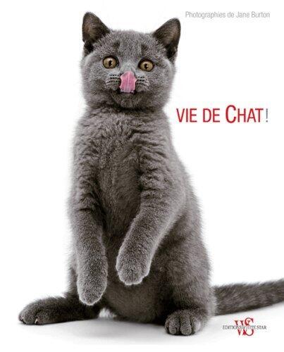Vie de chat!