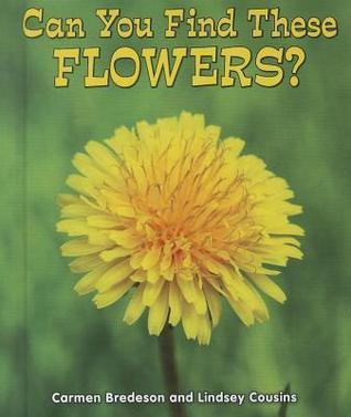 Can You Find These Flowers?