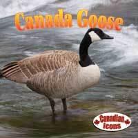 Canada Goose