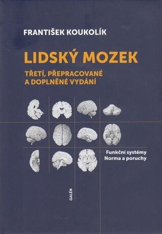 Lidský mozek