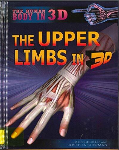 The Upper Limbs in 3D