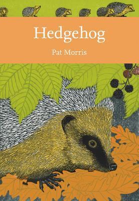 Hedgehog (Collins New Naturalist Library)