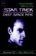 Star Trek: Deep Space Nine 29: Der Abgrund. Section 31.