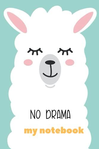 notebooks for kids