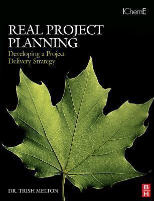 Real Project Planning: Developing a Project Delivery Strategy: Developing a Project Delivery Strategy