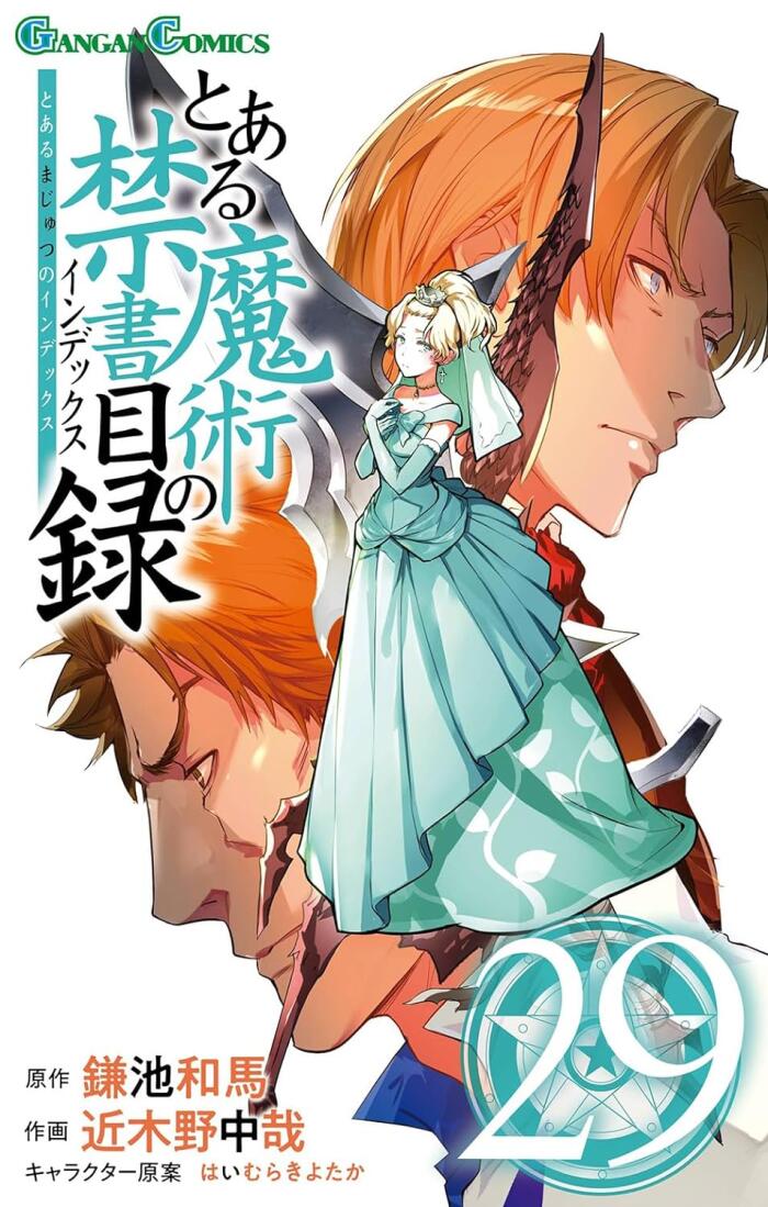 とある魔術の禁書目録 29 [Toaru Majutsu no Index 29]