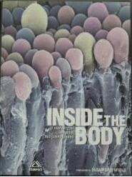 Inside the Body