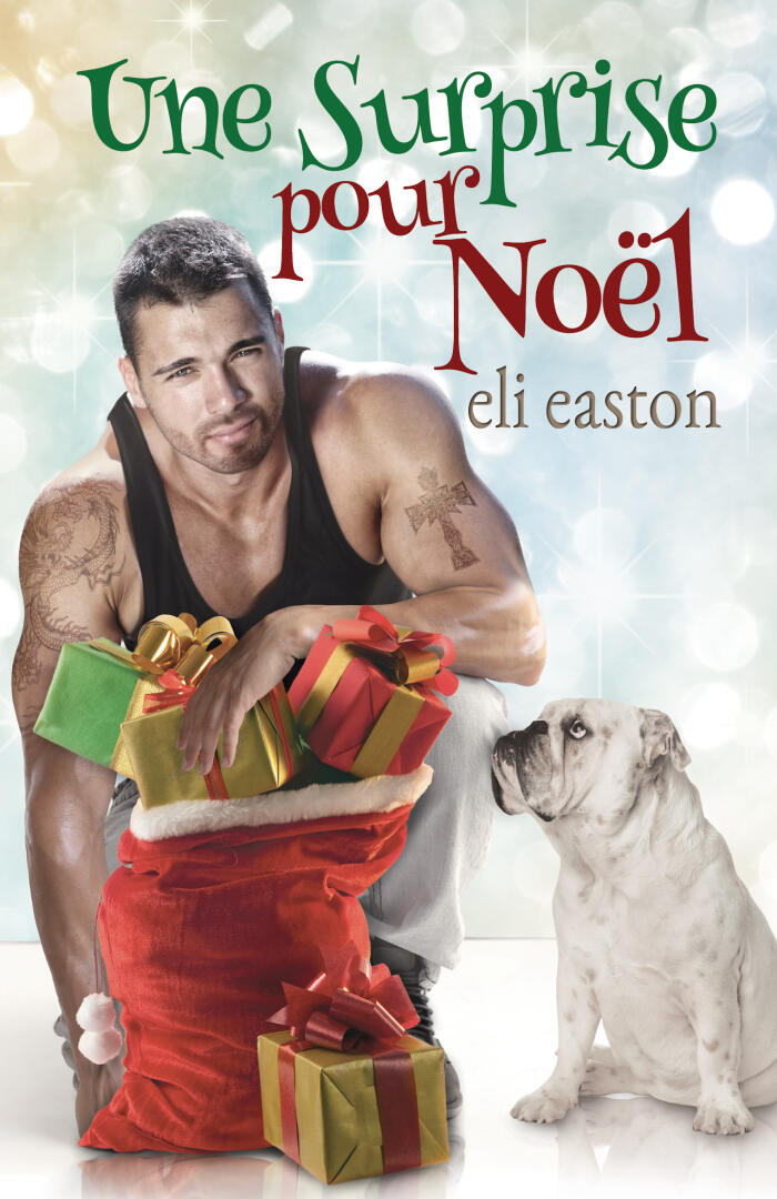 Une surprise pour Noël