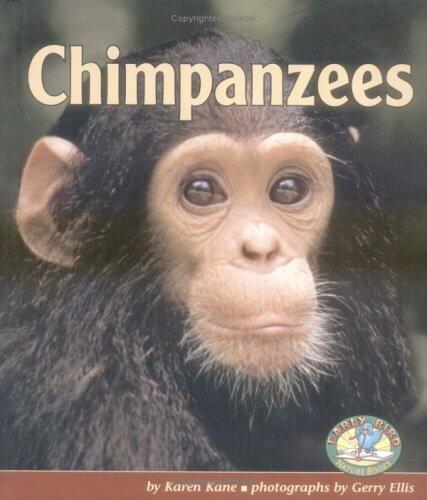 Chimpanzees