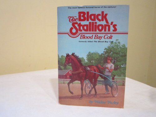 The Blood Bay Colt
