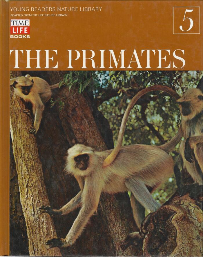 The Primates