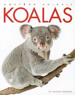 Koalas