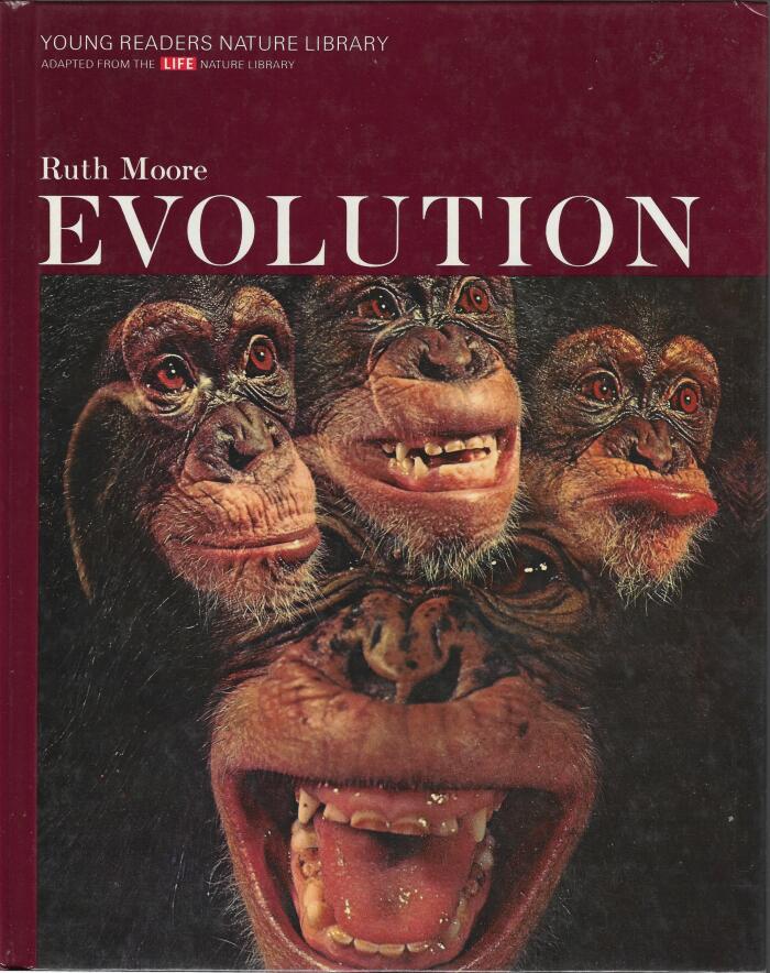 Evolution