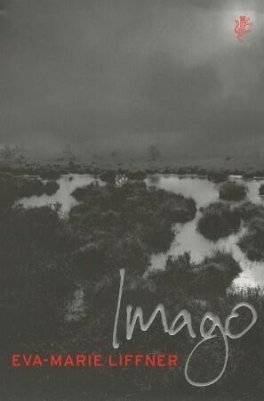 Imago