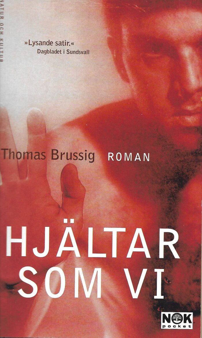 Hjältar som vi