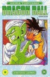 Dragon Ball, Vol. 24: Un misterioso guerriero