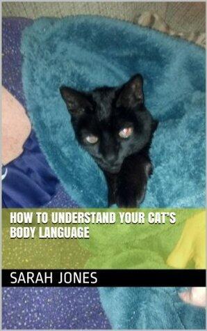 How to Understand Your Cat's Body Language