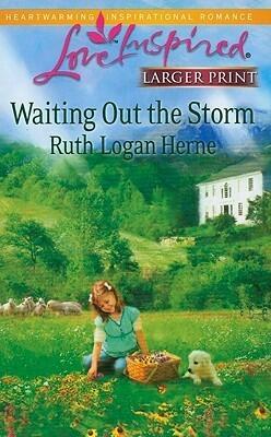 Waiting Out the Storm