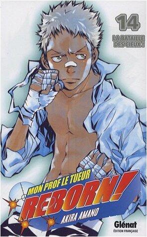 La Bataille Des Cieux