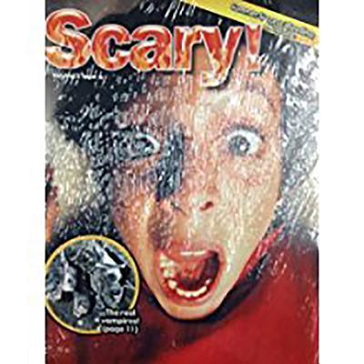 Great Source Summer Success Reading: Theme Magazine Grade 5 Magazine 6