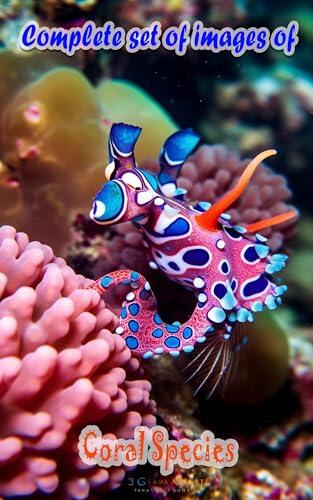 Beyond the Blue: The Ultimate Coral Species Guide: Unveiling the Hidden Beauty and Complexity of Coral Ecosystems Through Images