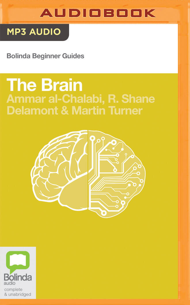 The Brain