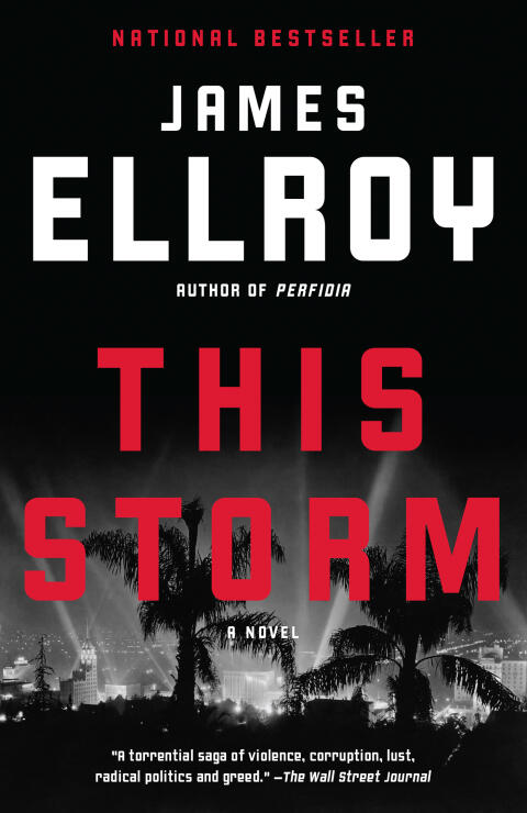 This Storm: A Novel
