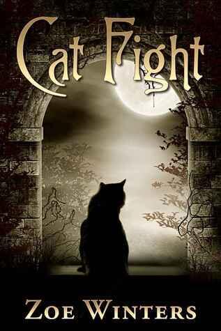 Cat Fight