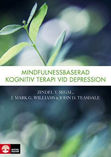 Mindfulnessbaserad Kognitiv Terapi Vid Depression