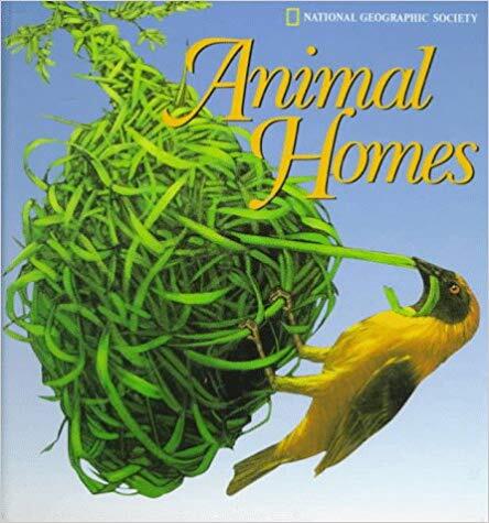 Pop-Up: Animal Homes