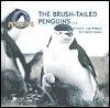 The Brush-Tailed Penguins