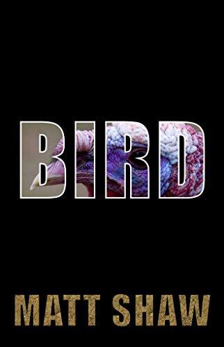 Bird: The Troubled Tale of a Henpecked Husband