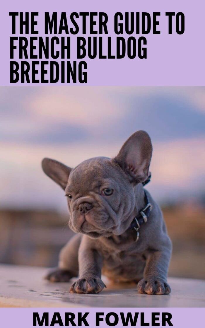The Master Guide To French Bulldog Breeding: Everything You Need To Know